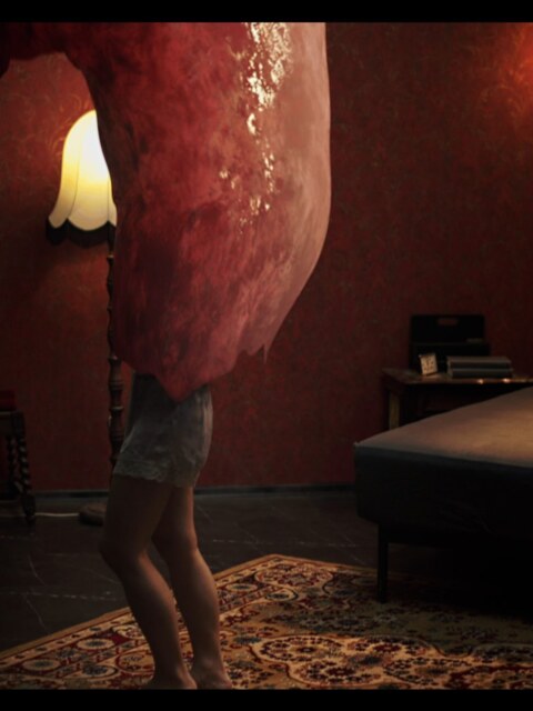 Rikako Katayama Wrapped In Red Tentacle Ropes, Dripping Wet 2